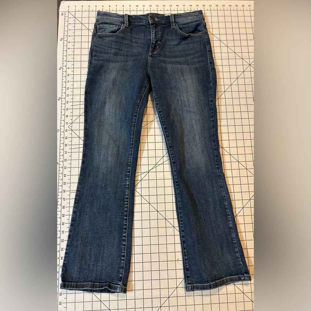 Cosmic‎ Blue Love by Pistola Women’s Size 30 High Rise Bootcut Jeans